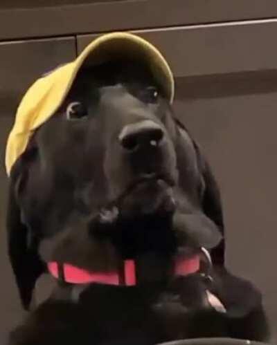 When the family argues during Thanksgiving dinner