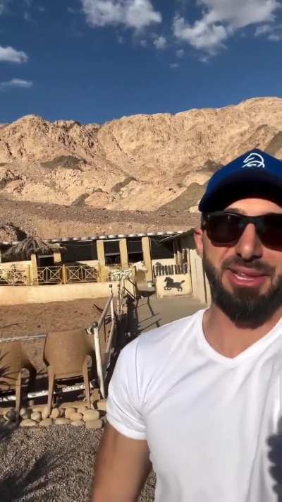 Bro has an actual white Arabian 🤍 such a majestic beast!