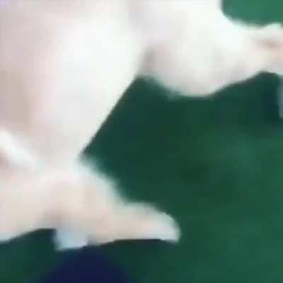 Cat vs. Dog: Golf Challenge