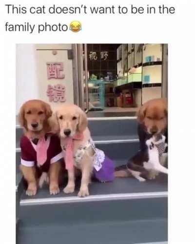 You're part of this family whether you like it or not.