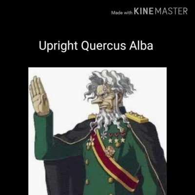 Reviewing every Quercus Alba design