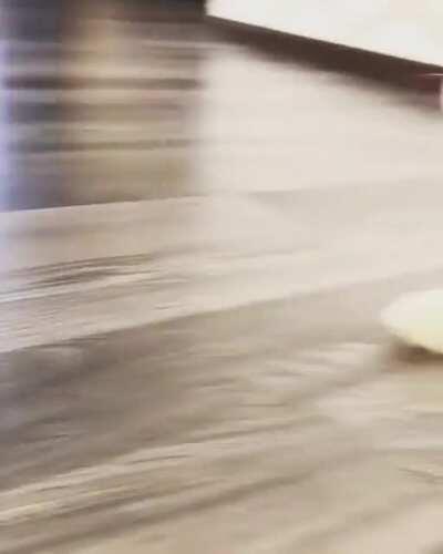 You want the ball? Come and get it