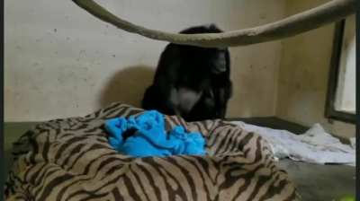 She thought her baby had passed away but when she found out she was alive, she ran in and hugged her tight.