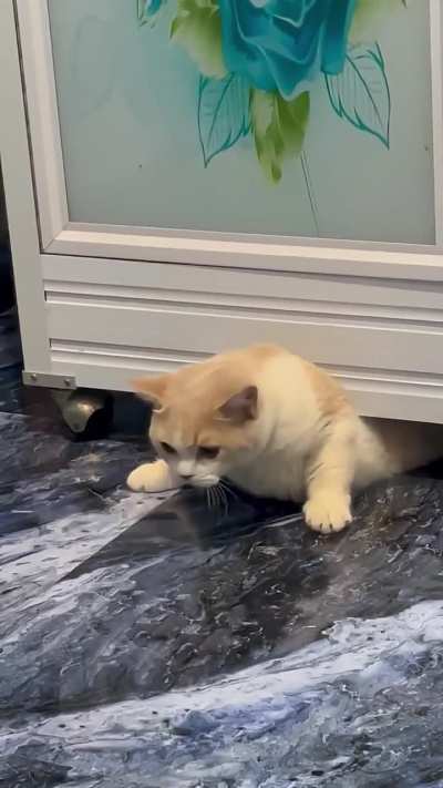 If I fits I.... wait HELP