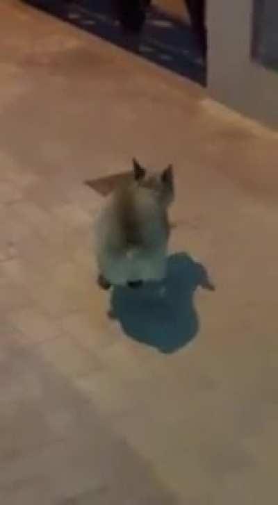 Hazte una gayola mi cuco😍😍