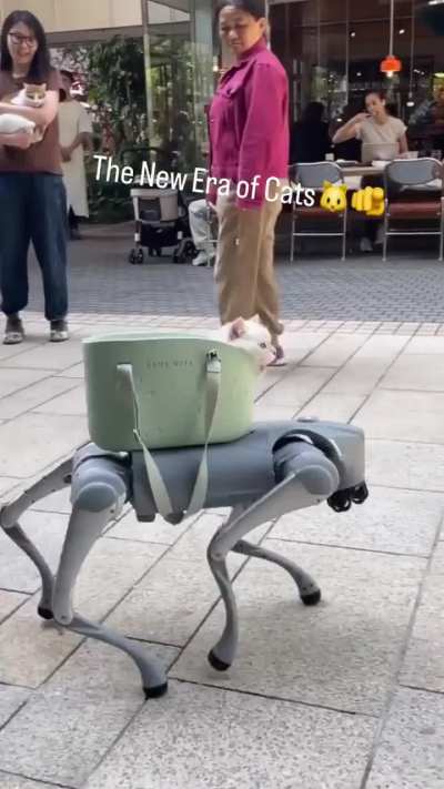 Time to rule the world