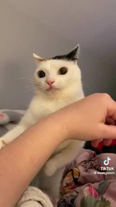 Why are you doing this?