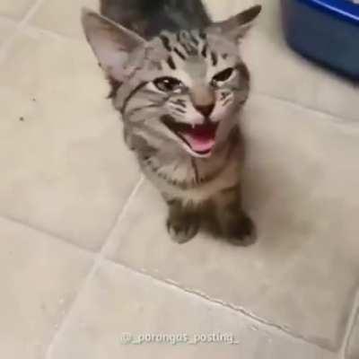 I think she is hungry