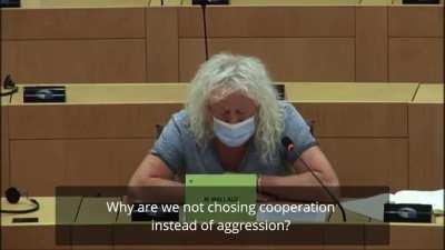 Mick Wallace, Member of European Parliament from Ireland. Why is EU allowing US to drag us into confrontation with China?