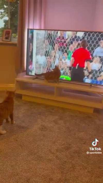 GoalKeeper Shuts Em Down