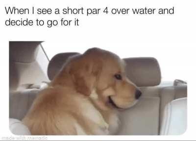 20% of the time it works every time