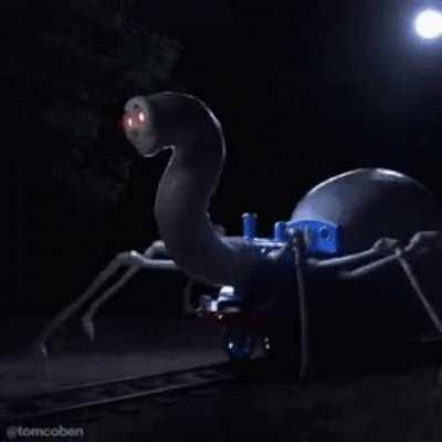 Tomas the aricnid-train