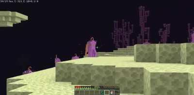 Made a Minecraft texture pack for Coco!