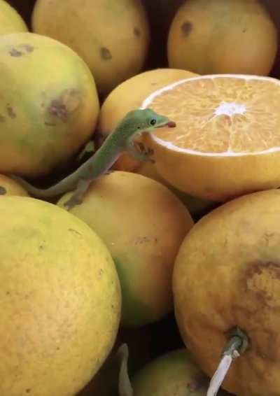 his ass is addicted 😔🙏