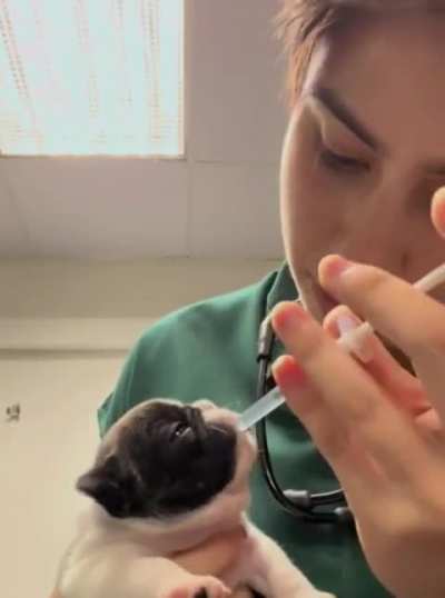 Tiny puppy has the cutest reaction to taking medicine 🥹