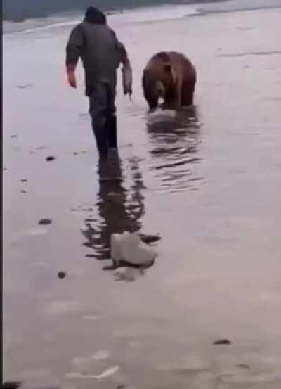 Russian fishermen and wild bears fish close to each other. Fishermen are more successful in catching fish, so they share with the bears and feed them
