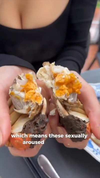 Chinese Mitten Crabs