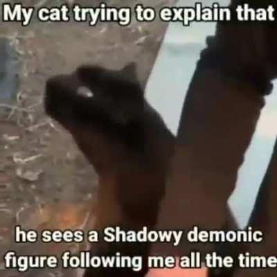 m̵̯̳̰̦̅͊ḛ̵̝͚̩͓̻̖̌̊ơ̶̢͖̘̰̠̦̹͌̈́́͋̕ẁ̸͈͒͐͝ ̷̤̹̣̬̃̅̓m̸̨̻̮̥̮͉͂̽͜ẻ̶̮̮̙͎̠͒͗̈́̏̏ͅǒ̸̝͙̤̈̃̿͑͗̈̅ͅw̸̧̨̛̠̭̻̭͓̖̬͇̆͐͊͝