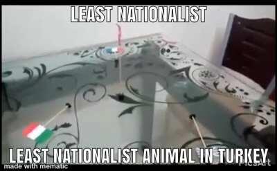 turkiye strong🇹🇷💪