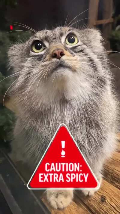 last known footage of the cameraman