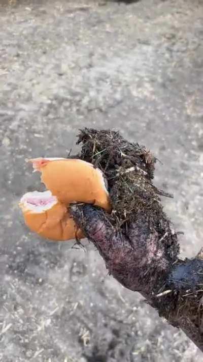 You must be a liberal