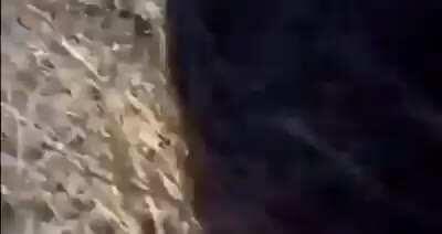 Task failed successfully