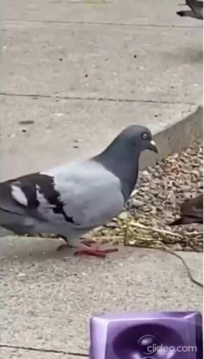 Idk what to say,just stunned.