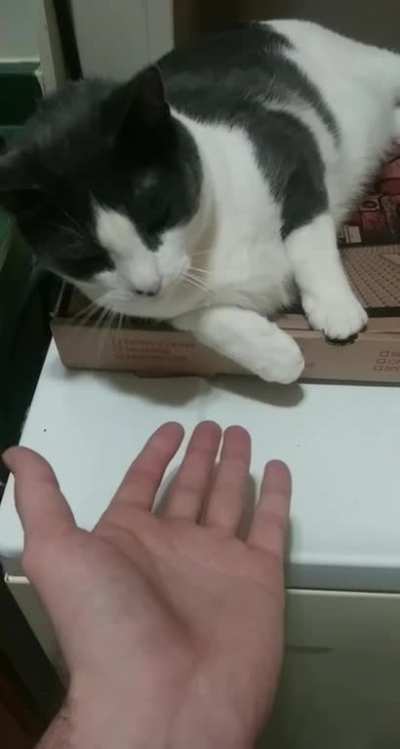 High Five Of The Week!