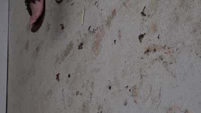 Crush bugs sandals flat thong