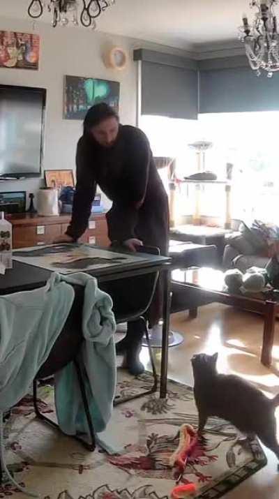 Cat destroys owner's puzzle
