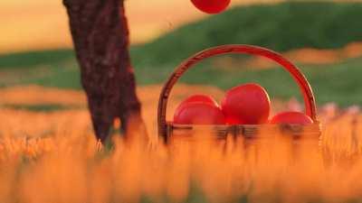 A little short film I've been working on for a while :)