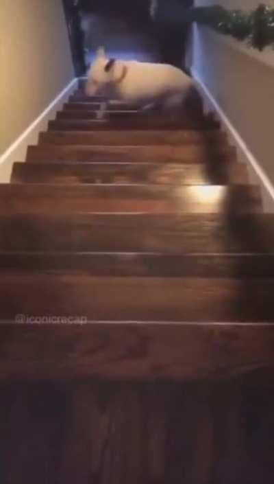 Bro came up with a better idea on the spot