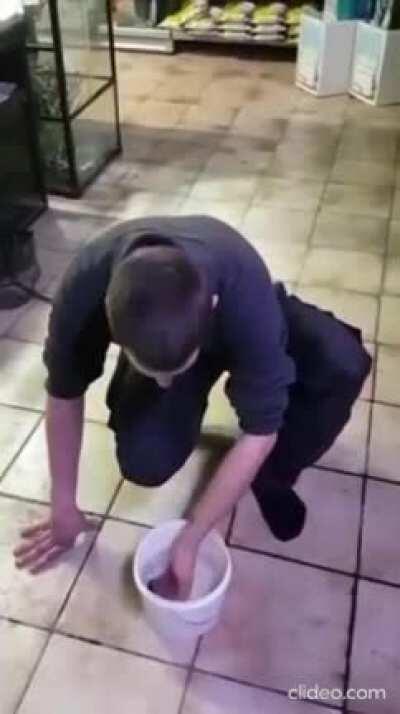 Grabbing a baby electric eel