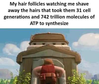 why are they like this