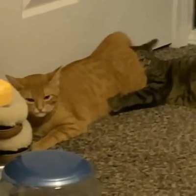 The treatment I administer on Katana Man when he said his hemorrhoids were causing him pain while wiping and he needed a better and softer way to clean