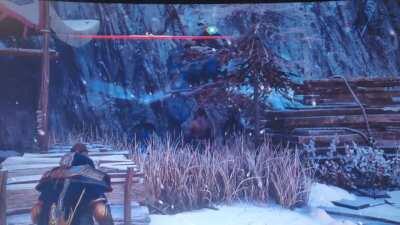 Looks like they are having fun