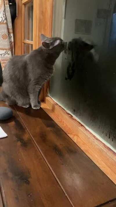 Professional window washer