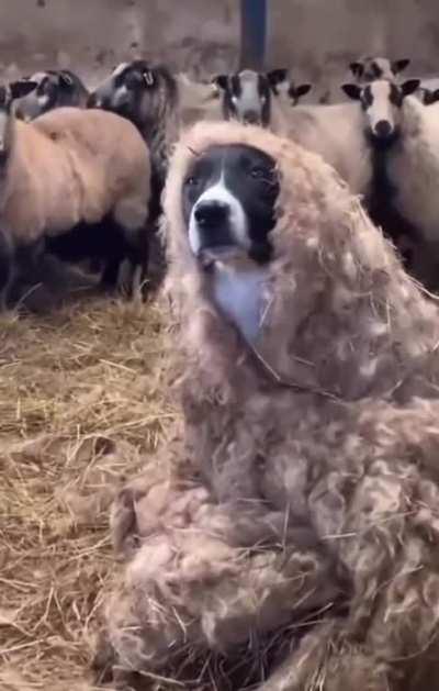 How would they know?