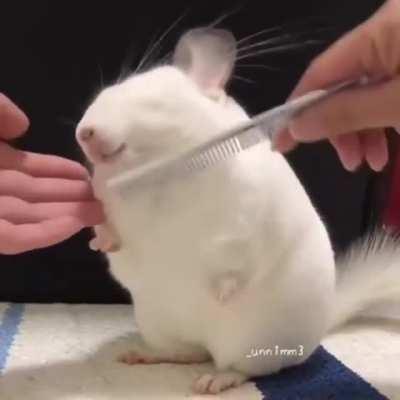 An impressive level of cleanliness