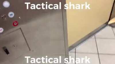Tactical shark tactical shark