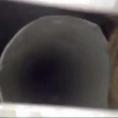 Creature from the air vent