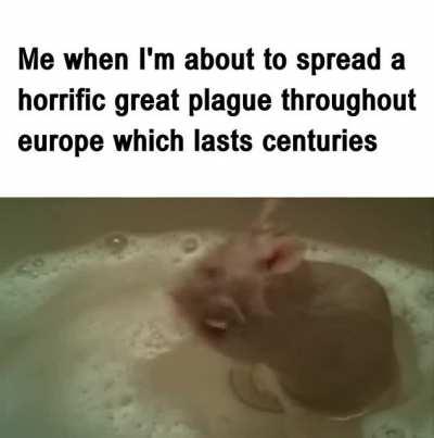 Cute Rat Cute Rat Stuff