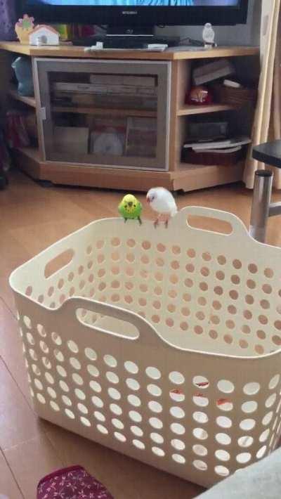 It's not easy making friends.