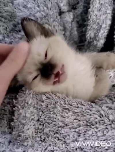 Eeeeeee 🎥 jessthefknmess