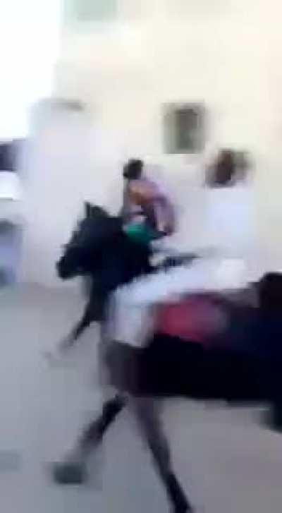 Street horse race goes chaotic