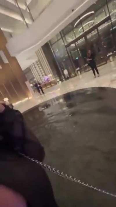 Lady just observing the tree