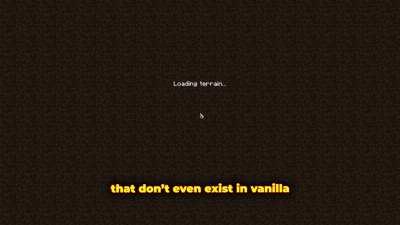 The Minecraft Experience