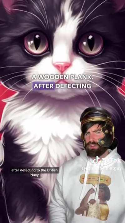 Unsinkable Sam…history’s luckiest cat