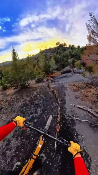 There are more deer than mountain bikers around here