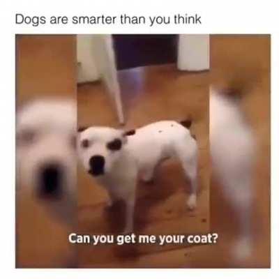 He understands the assignment.